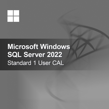 Microsoft SQL Server 2022 Standard 1 bruker CAL