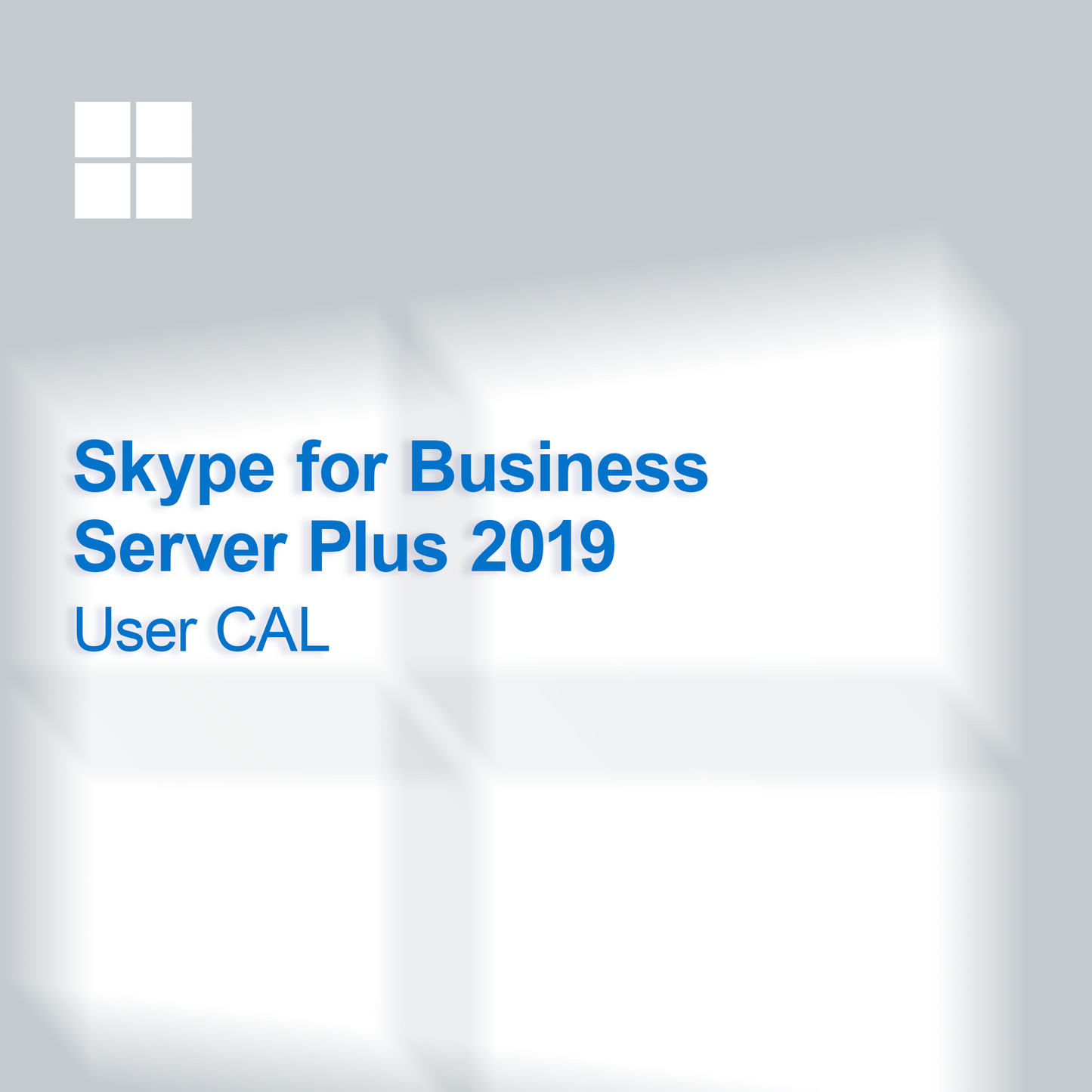 Skype for Business Server Plus 2019 Bruker CAL