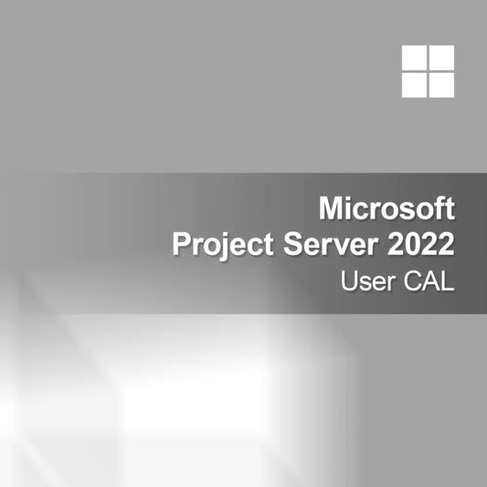 Microsoft Project Server 2022 Bruker CAL