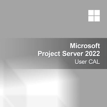 Microsoft Project Server 2022 Bruker CAL