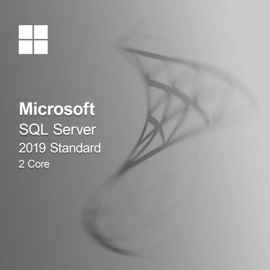 Microsoft SQL Server 2019 Standard 2 kjerner