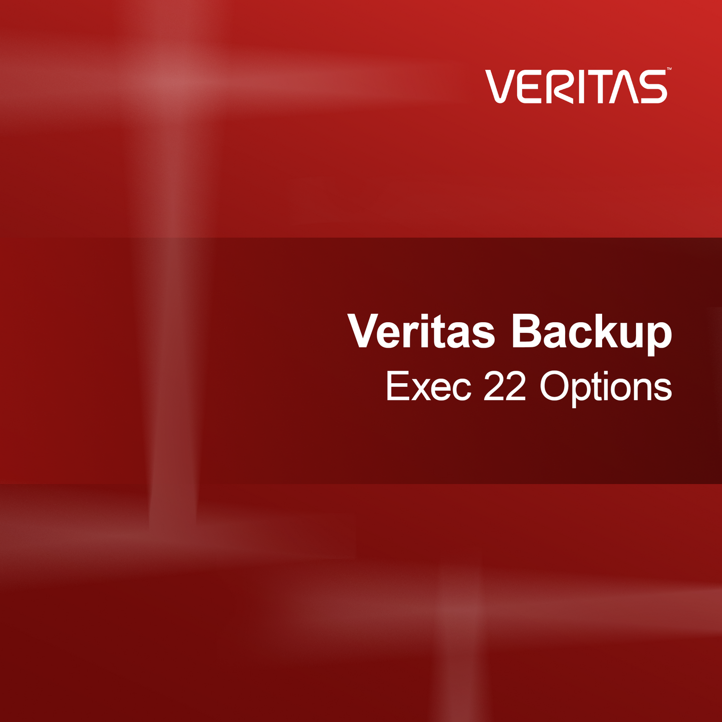 Veritas Backup Exec 22 Alternativer