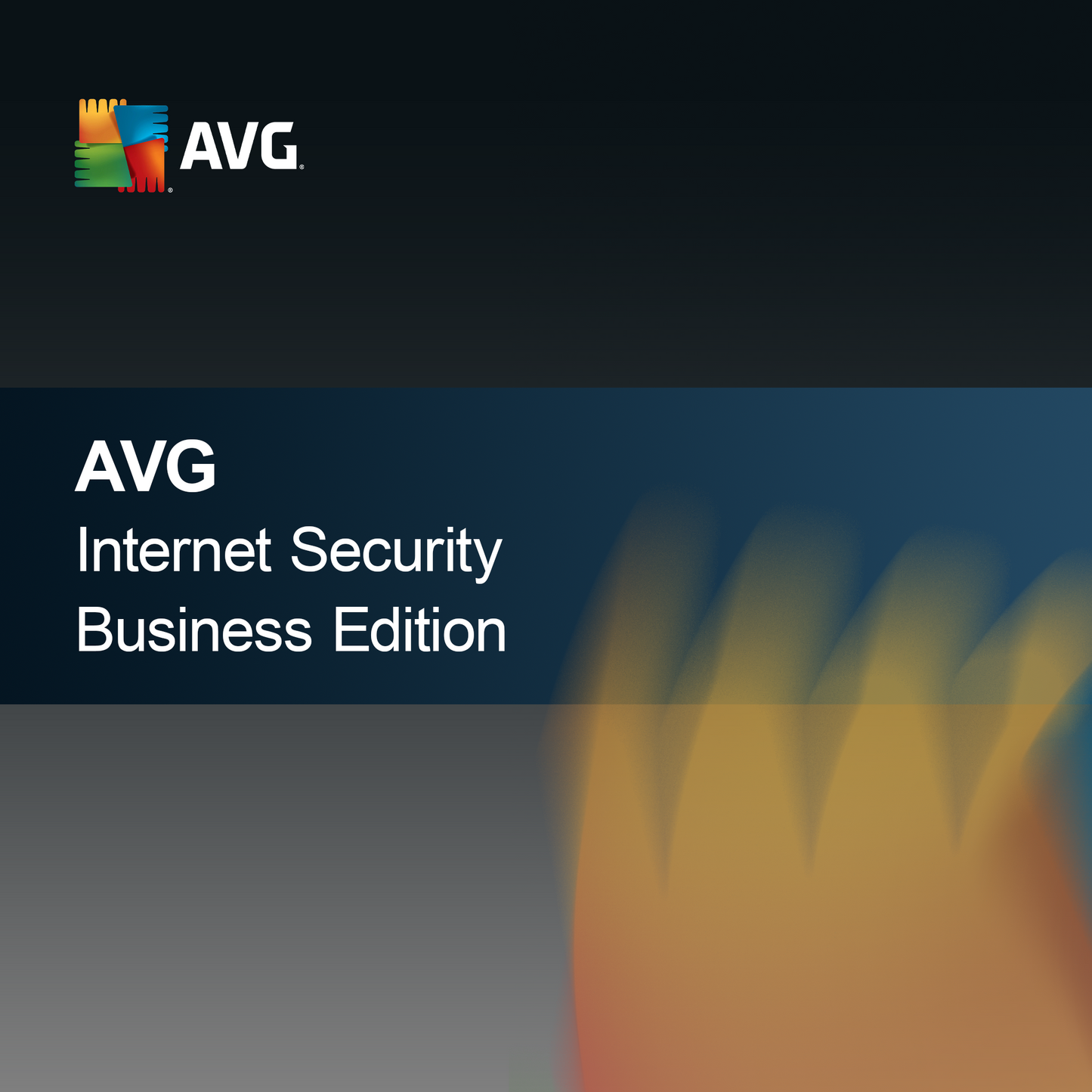 AVG Internett Sikkerhet Business Edition