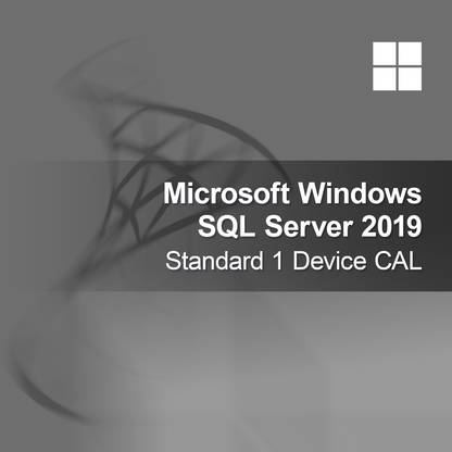 Microsoft SQL Server 2019 Standard 1 enhets CAL